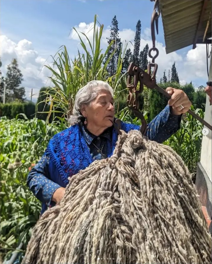 Recolección y preparación de la lana para las ruanas de Cundinamarca